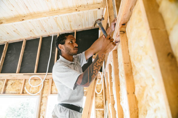 Best Home Insulation Services  in Trabuco Nyon, CA