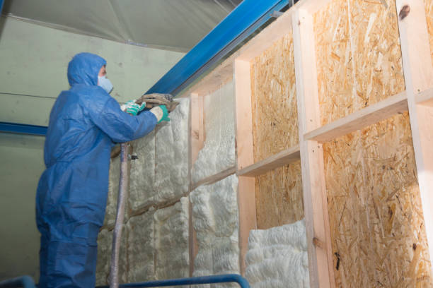 Best Spray Foam Insulation  in Trabuco Nyon, CA